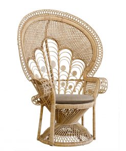 Peacock chair hire