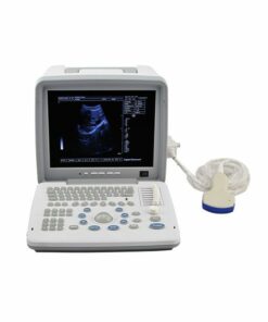 Portable LED screen ultrasound