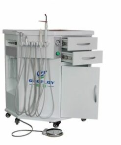 Mobile Dental Delivery System