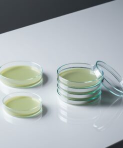 petri dishes