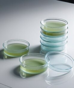 Petri Dishes