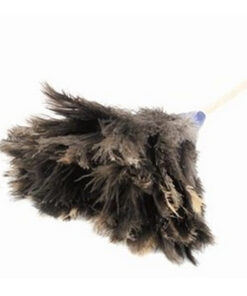Feather Duster - Genuine Ostrich Feathers - Large Head - 45cm - Pack of 5 - F9002