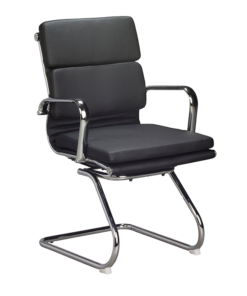 Padded Eames Visitor Chair
