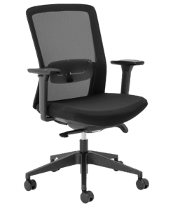 Aila Ergo Mid Back Chair