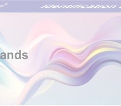 Identification Bands Adult – 100s Pink