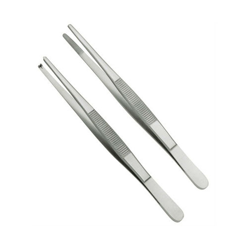 Dissecting Forceps ��� 16cm Plain