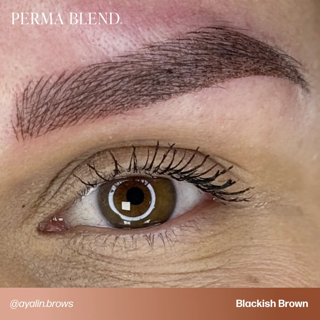 Perma Blend Blackish Brown - Image 2
