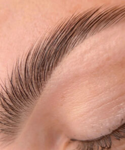 Refectocil Brow Lamination - Correspondence Course with kit