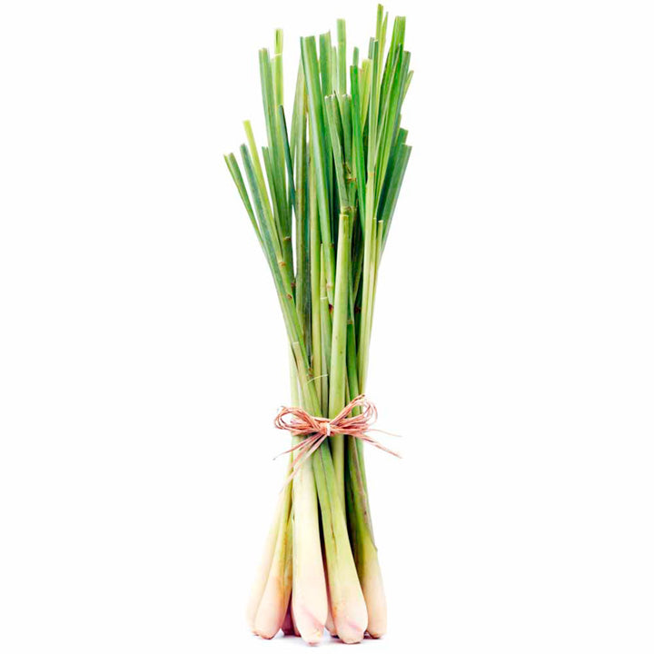 Lemongrass essential oil 10ml