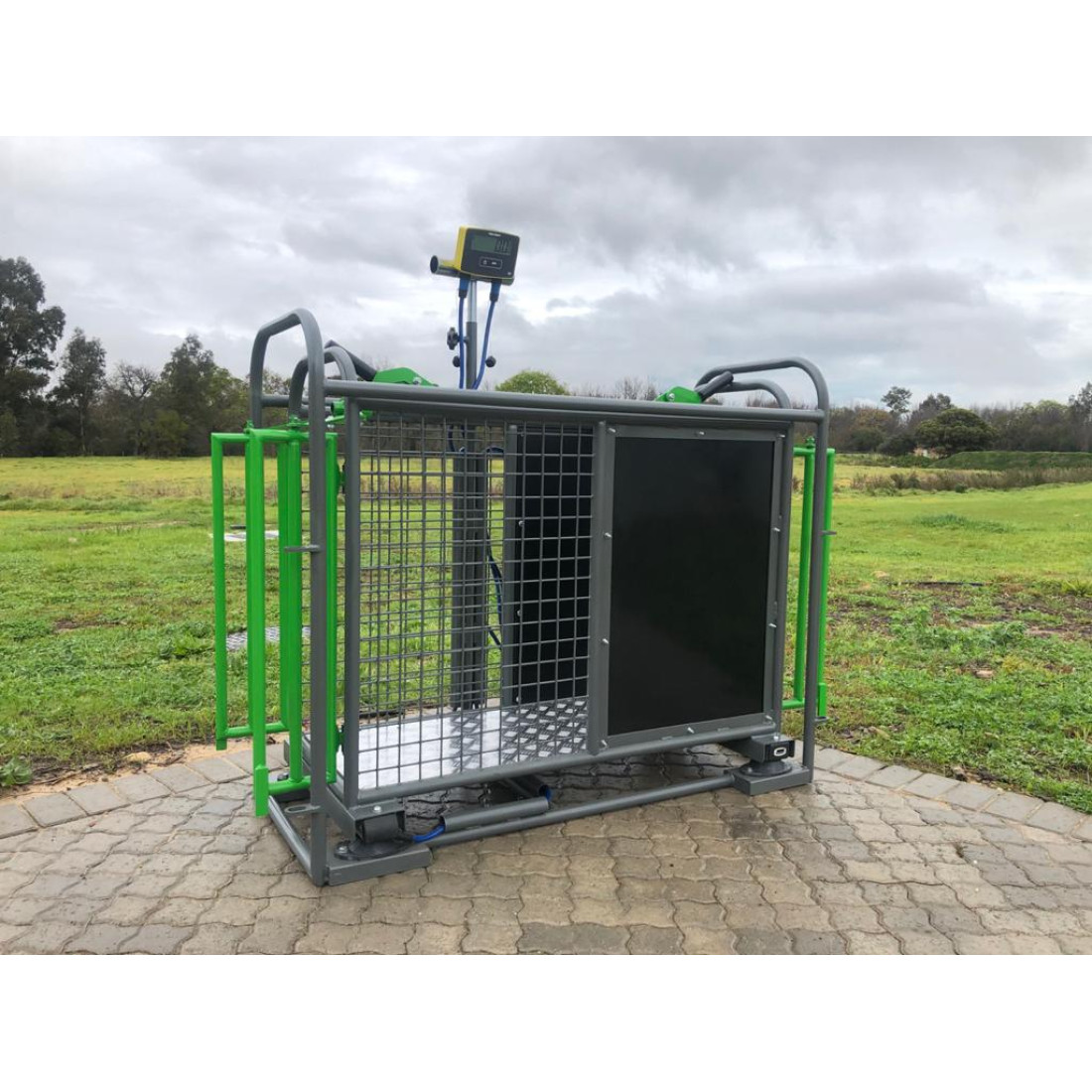 Sheep Weigh Crate (Standard) - Spray Painted
